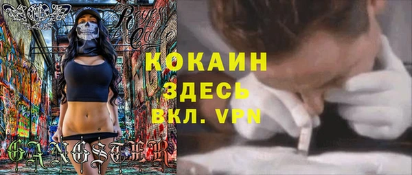 шишки Армянск