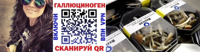 Псилоцибиновые грибы Cubensis  продажа наркотиков  Обоянь 